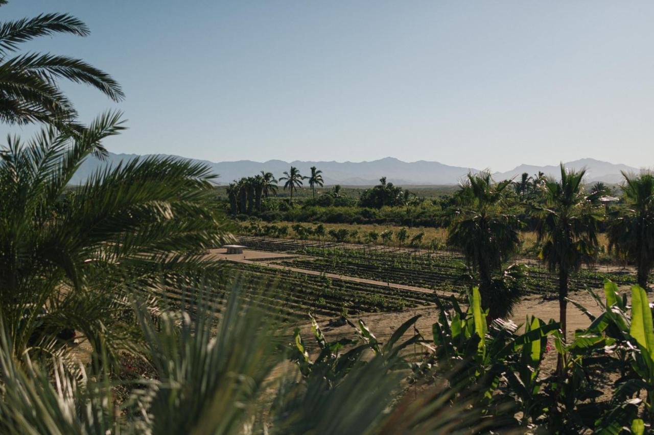 Villa Santa Cruz Todos Santos Bagian luar foto